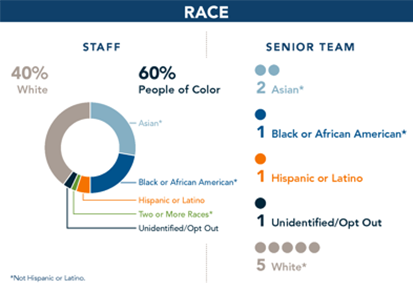 staff demographics